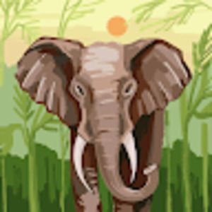 Meet your Posher, Ramsey